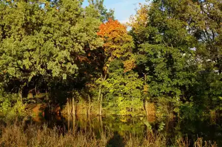 Живые Родники - 15