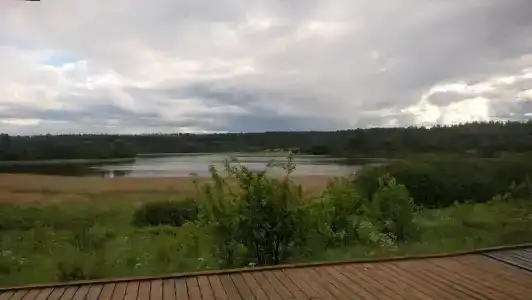 Простоквашино - 6