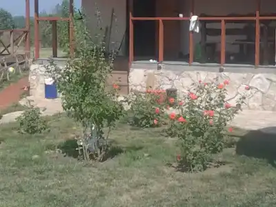 Каштан - 1