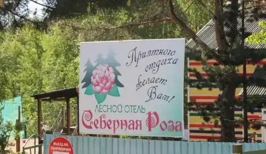 Северная Роза - 4