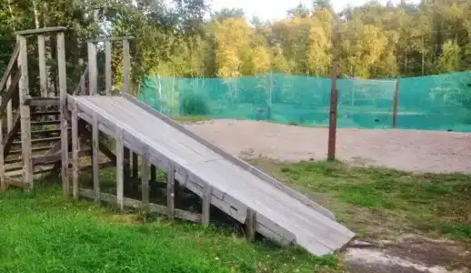 Северная Роза - 6