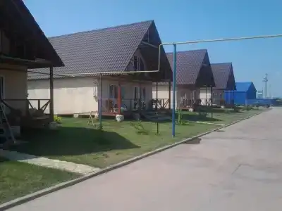 Каштан - 6