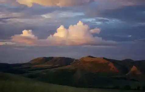 Эдельвейс - 2