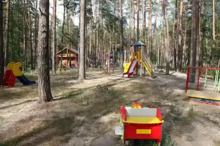 Иволга - 10