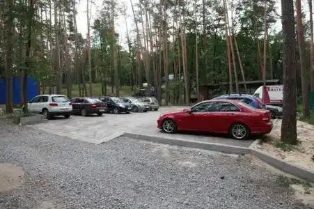Иволга - 9