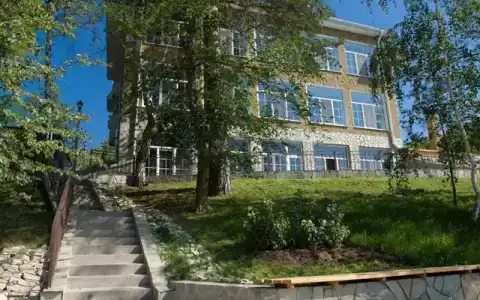Сосны - 5