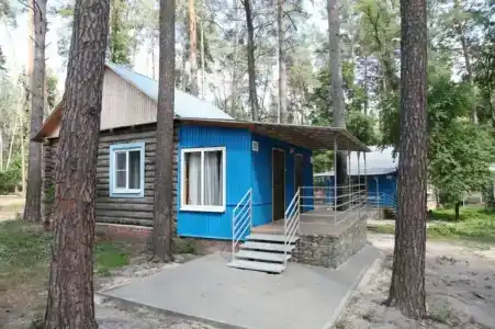 Иволга - 4