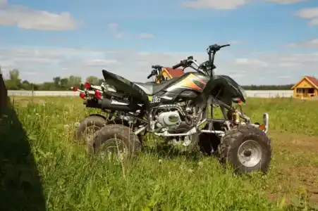 Сосновый берег - 5