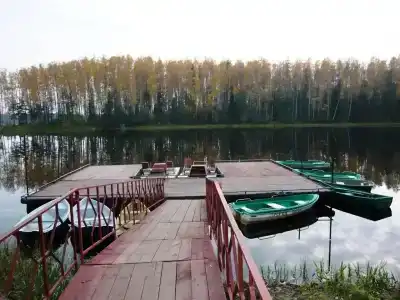 Лесная дача - 7