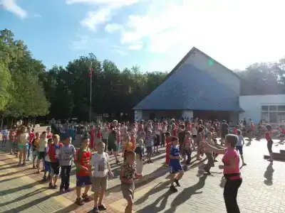 Клён - 12