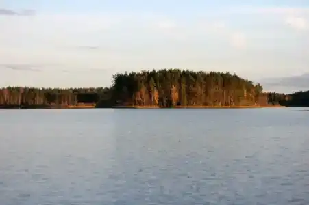 Лесная дача - 21