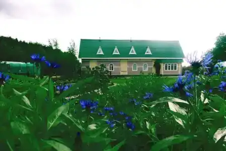 Высоковское - 2