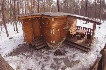 Лесная сказка - 10