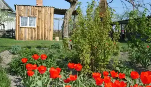 База отдыха у Никитича - 4