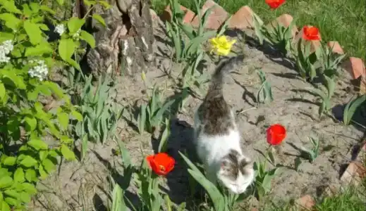 База отдыха у Никитича - 18