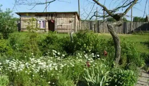 База отдыха у Никитича - 21