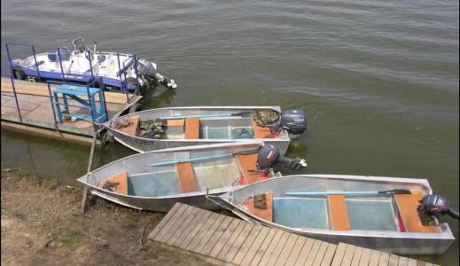 Рыба Зверь - 29