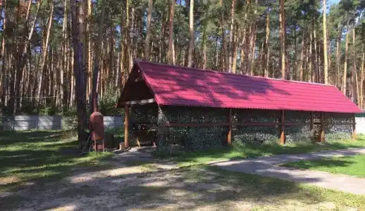 Смольный-Корт - 6