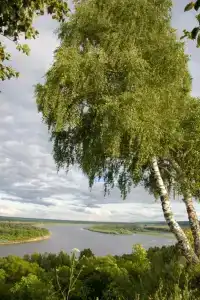Мещерский городец - 5
