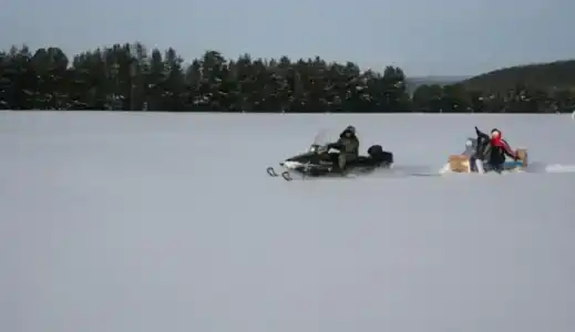 У Барина - 12