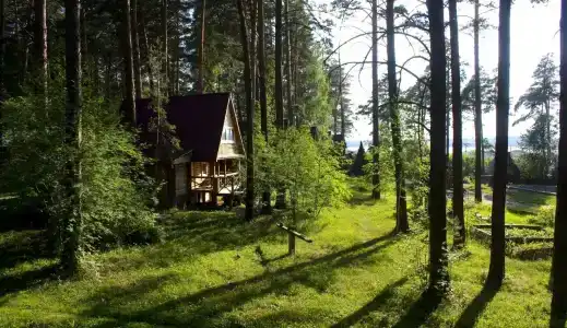 Дубрава - 1