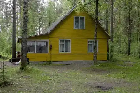 Холодный ручей - 0