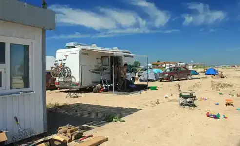 Серфприют - 42