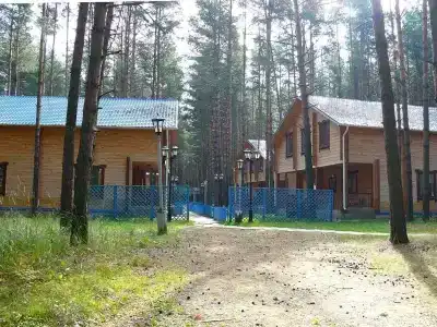 Чайка - 5