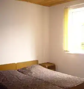 Лоза - 6