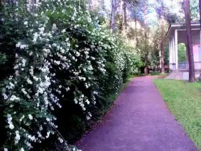 Подлипки - 1