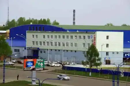 Снежинка - 2