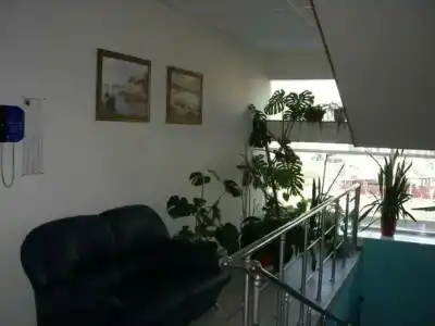 Спорт - 3