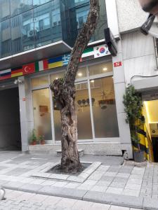 The Marist Kadikoy - 11