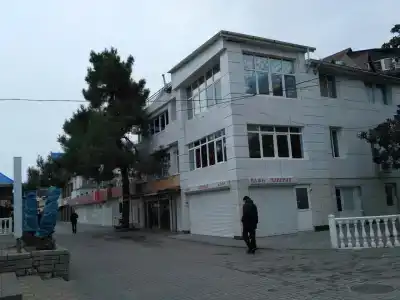 Дельфин - 13