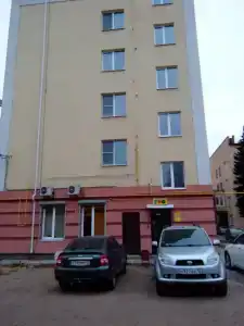 Ель - 3