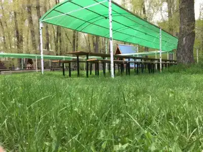 Теремок - 21