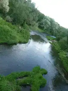 Семеновское - 3