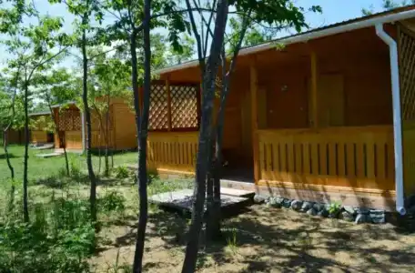 Фламинго - 0