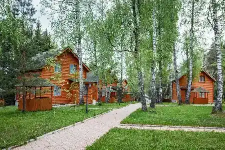 Березовая роща - 23