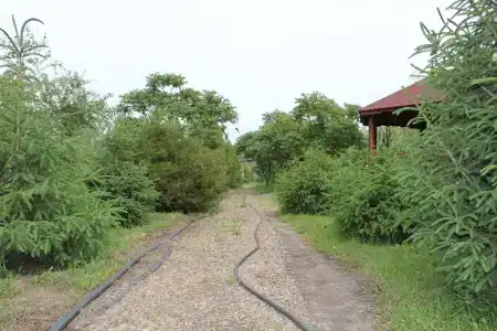 Тихий Причал - 5