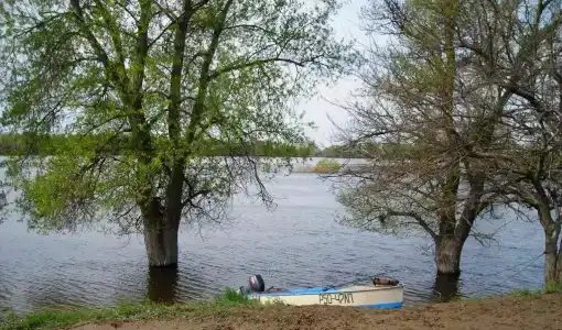 Имение Черновых - 0