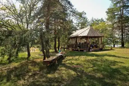 Дубки-В гостях у сказки - 79