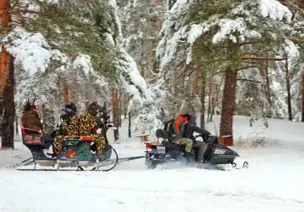 Дубки-В гостях у сказки - 97