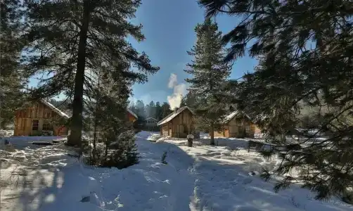 Снежный барс - 12