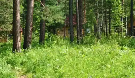 Кибик - 11