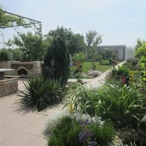 Летний сад - 7