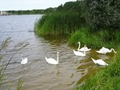 Энергетик - 23