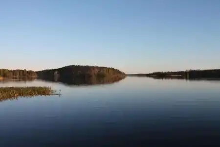 Белые Росы - 11