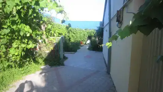 Лукоморе - 12