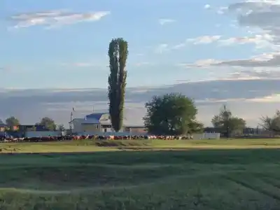 База Партизан на хуторе Громов - 7